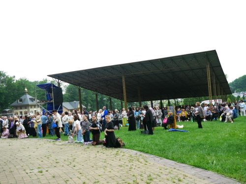 p1250698